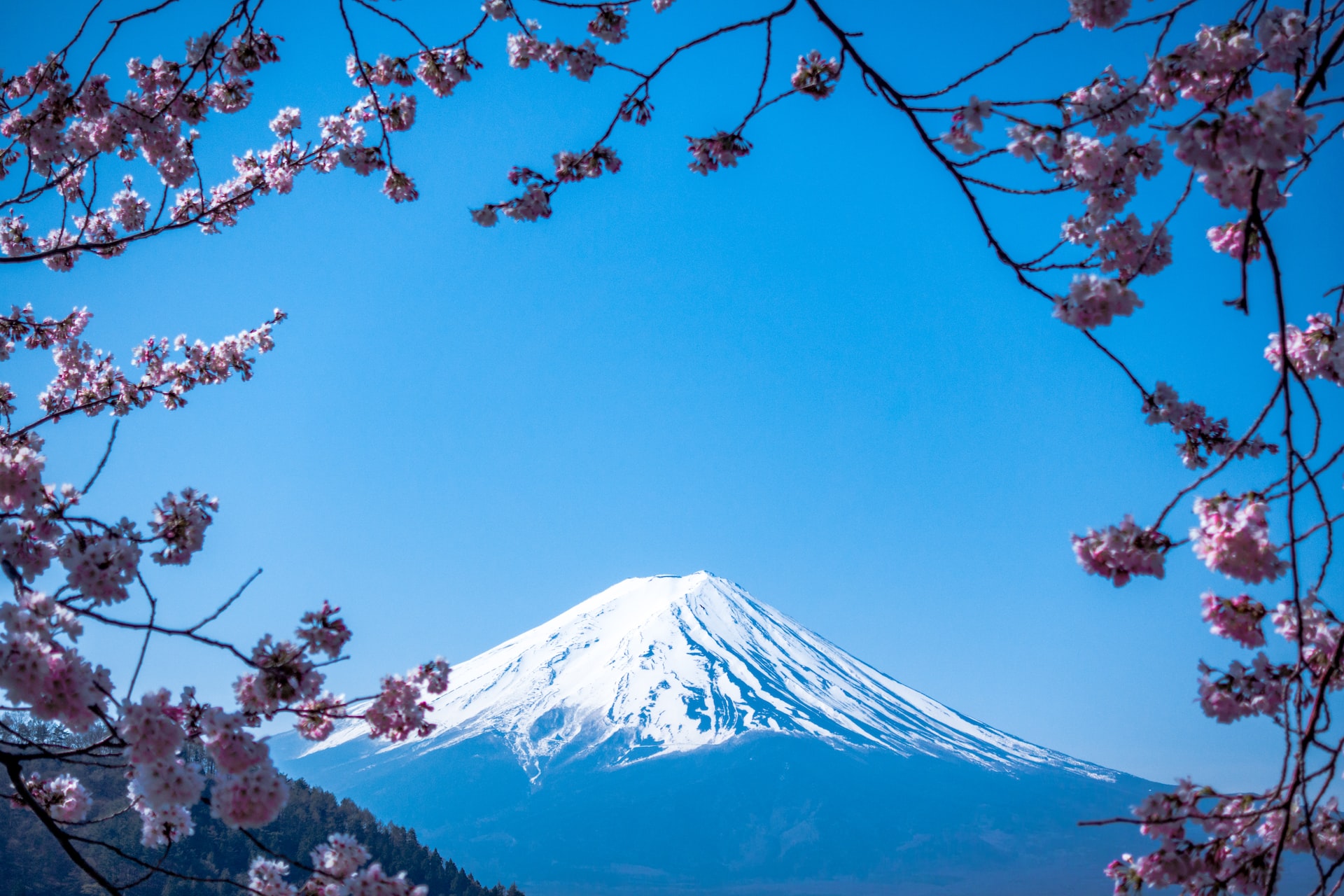 Japan HealthTech Outlook